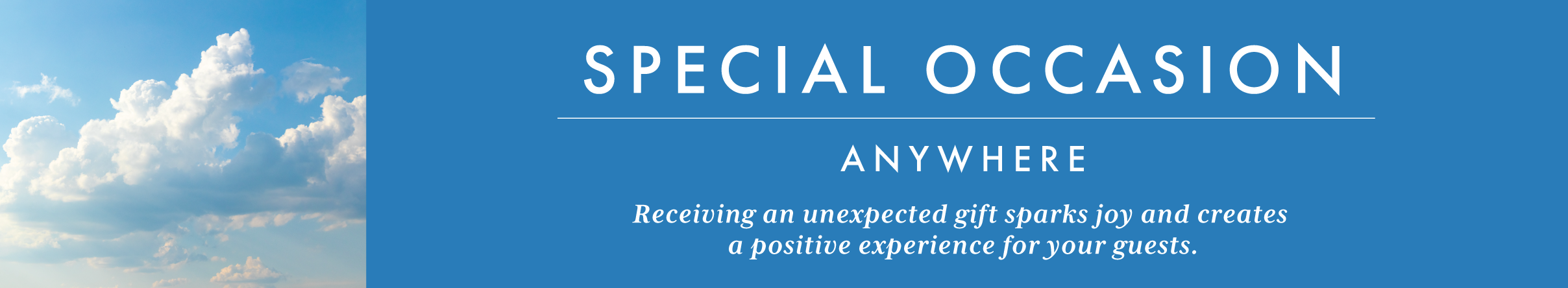 Special Occasion