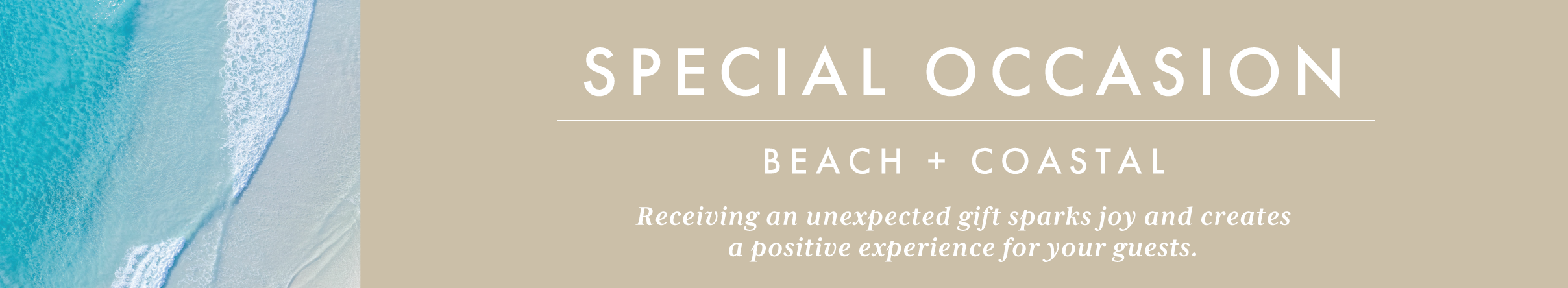 Special Occasion