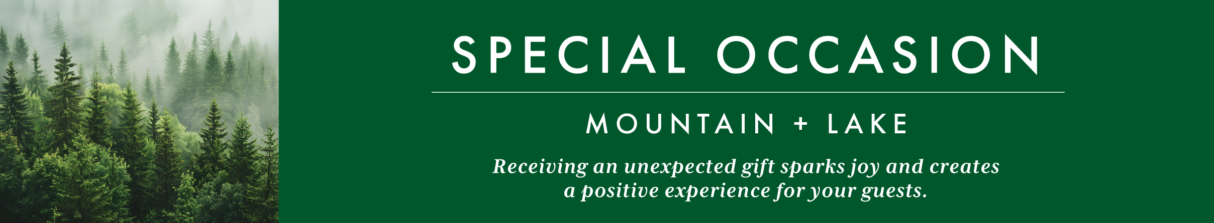 Special Occasion